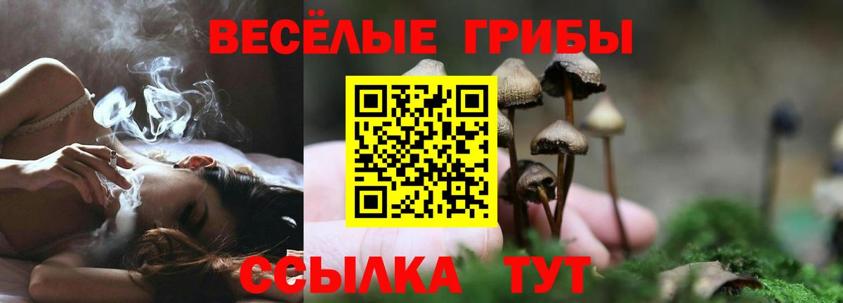 Кинель  Псилоцибиновые грибы мухоморы  Вход с VPN 